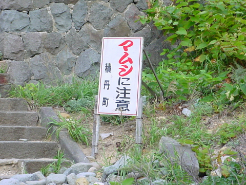 マムシに注意。