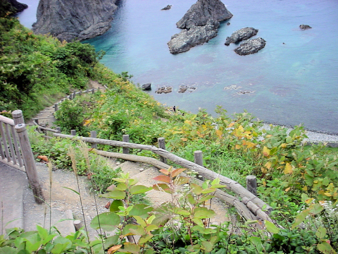 下まで降りれちゃう